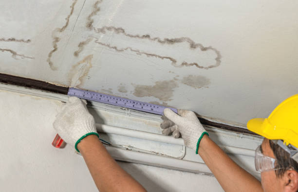 Reliable Flood Cleanup contractor in Brownsville, OH by Water Damage Irwin